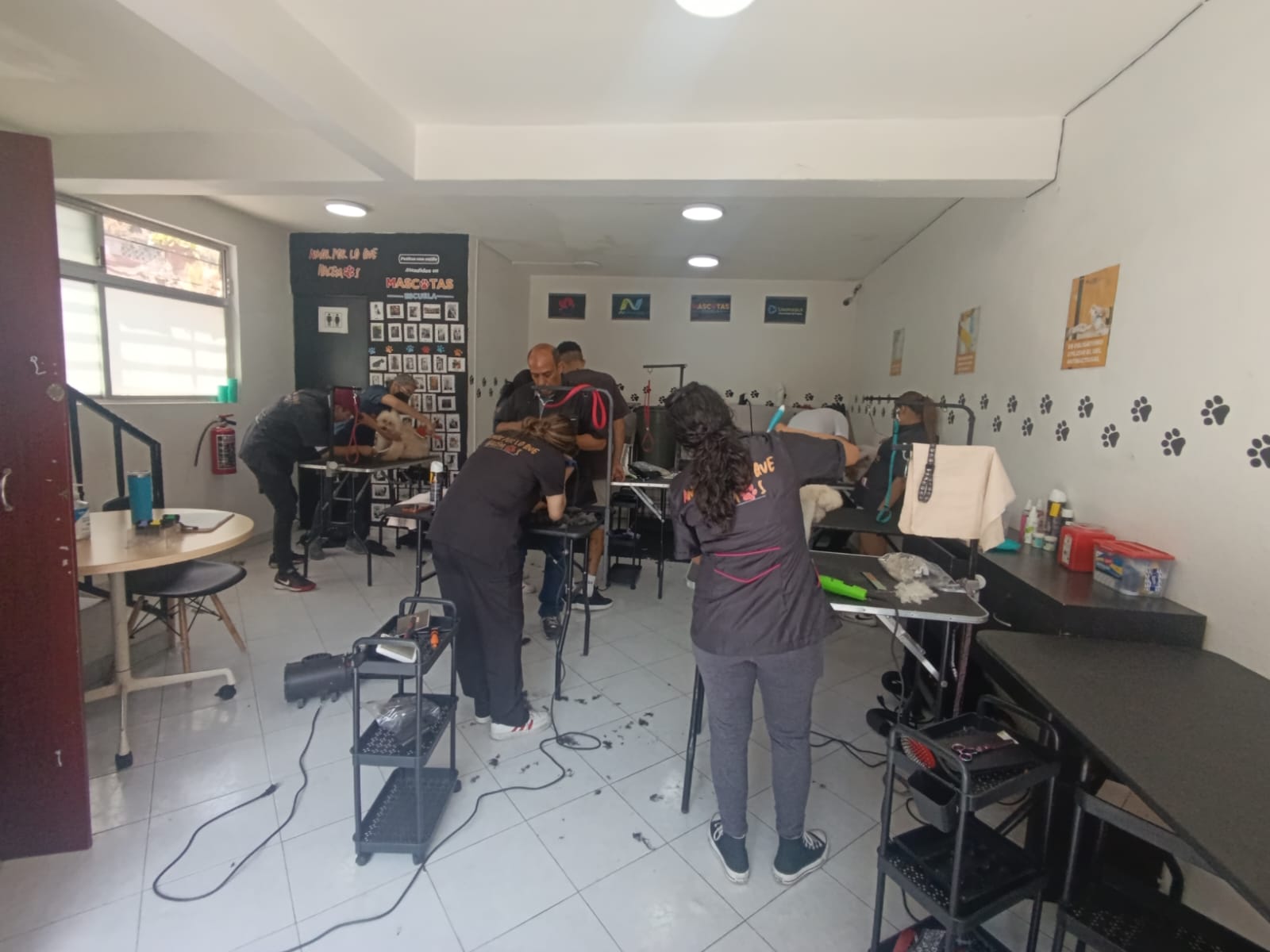 Clase en acción